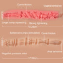 Emilia Vaginal And Anal Texture